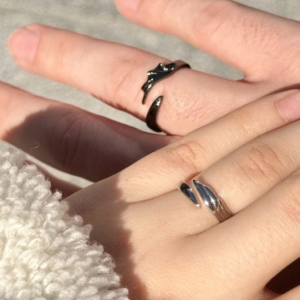 Night Fury & Light Fury Couple Rings (How to Train Your Dragon)